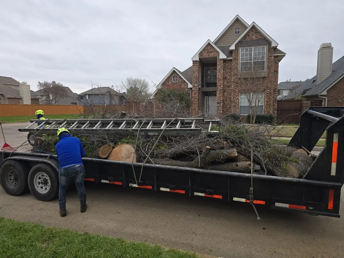 Expert Tree Removal with proper safety equipment in Winchester